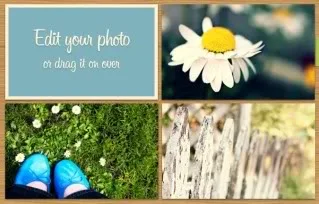 No Picnik? No problem! PicMonkey is here!