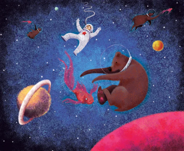 Stella and the Space Bears ebook