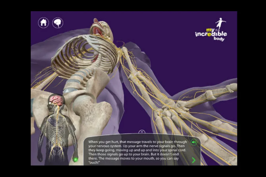 Best science apps for kids: My Incredible Body app