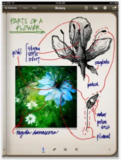 Penultimate brings paper and pen into the 21st Century
