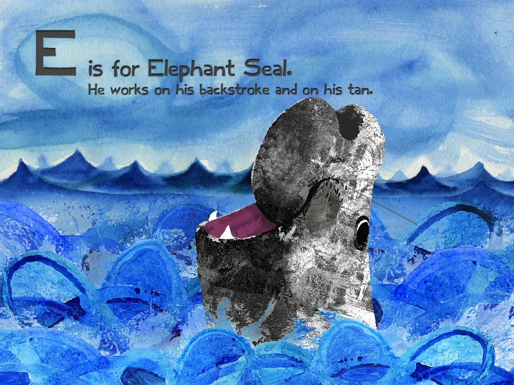 A to Sea Elephant Seal