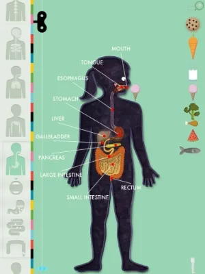 Play around with The Human Body. In app form, of course.