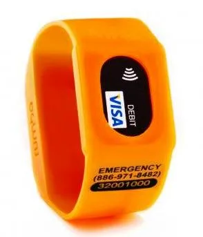Paying for things from your wristwatch? Yes, the future is now