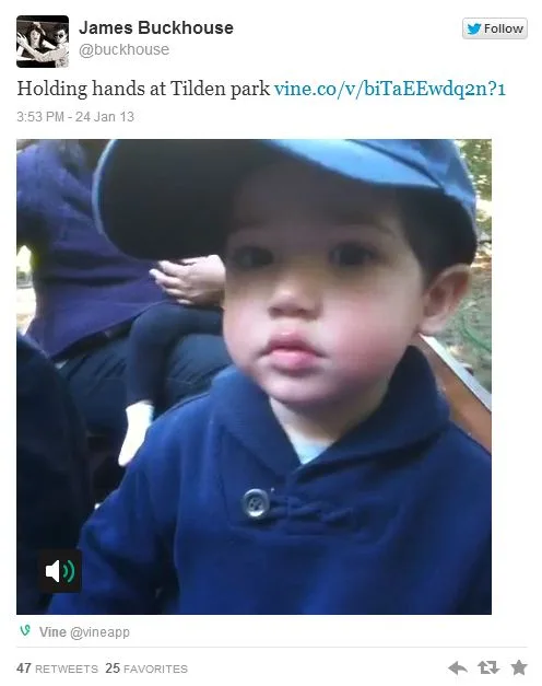 How to add video on Twitter: The answer is, well, Twitter.