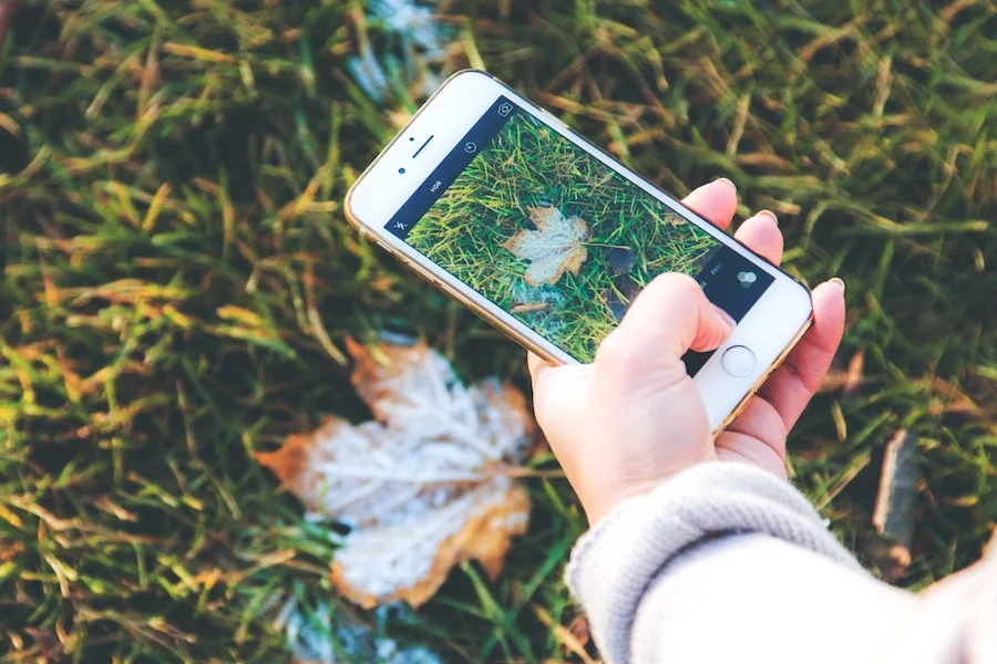 Identify plants and animals in nature with the Seek app from iNaturalist.