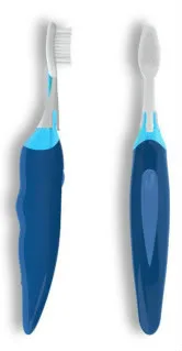 Piquing Our Geek: A Bluetooth toothbrush. 