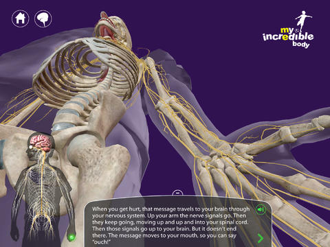 Best Science Apps for Kids: My Incredible Body app