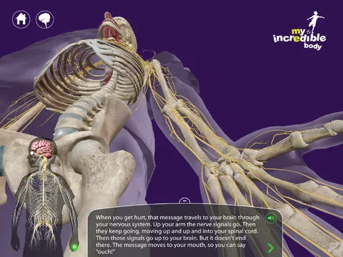 My-Incredible-Body-app