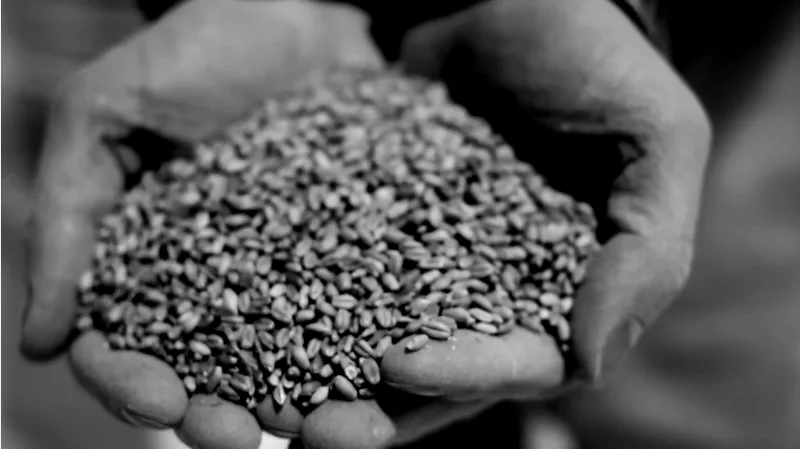 Made by Hand, the miniseries