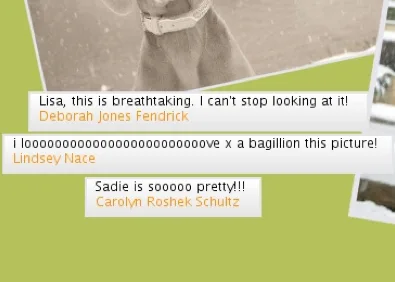 Moxybook turns all those Facebook photo comments into a digital scrapbook