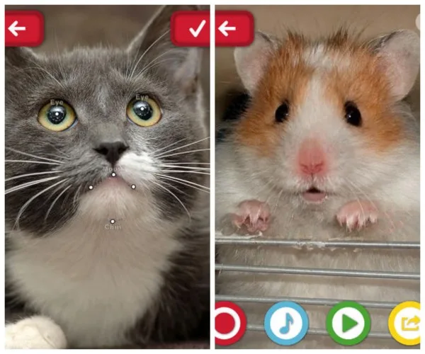 Funny pet apps: My Talking Pet app | Cool Mom Tech