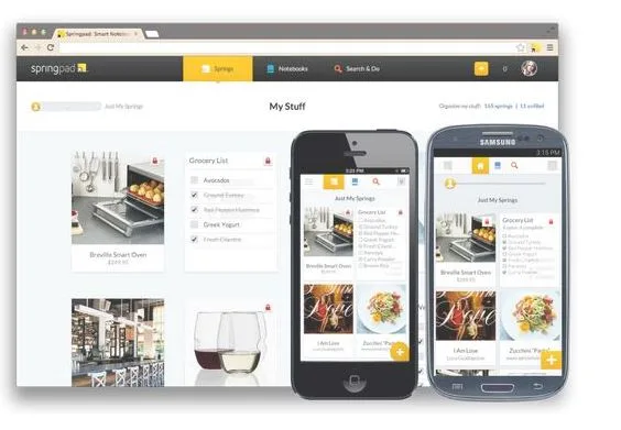 How to export data from Springpad before it shuts down
