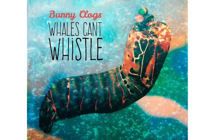 Bunny Clogs' My Identity song for kids