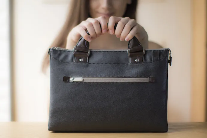 Moshi makes the perfect laptop bag for small tech and big style
