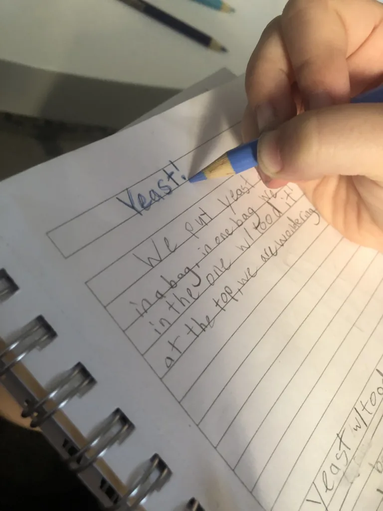 Kids' science journal ideas: Track results of experiments and tests | Cool Mom Tech Kids' science journal ideas: Track results of experiments and tests | Cool Mom Tech