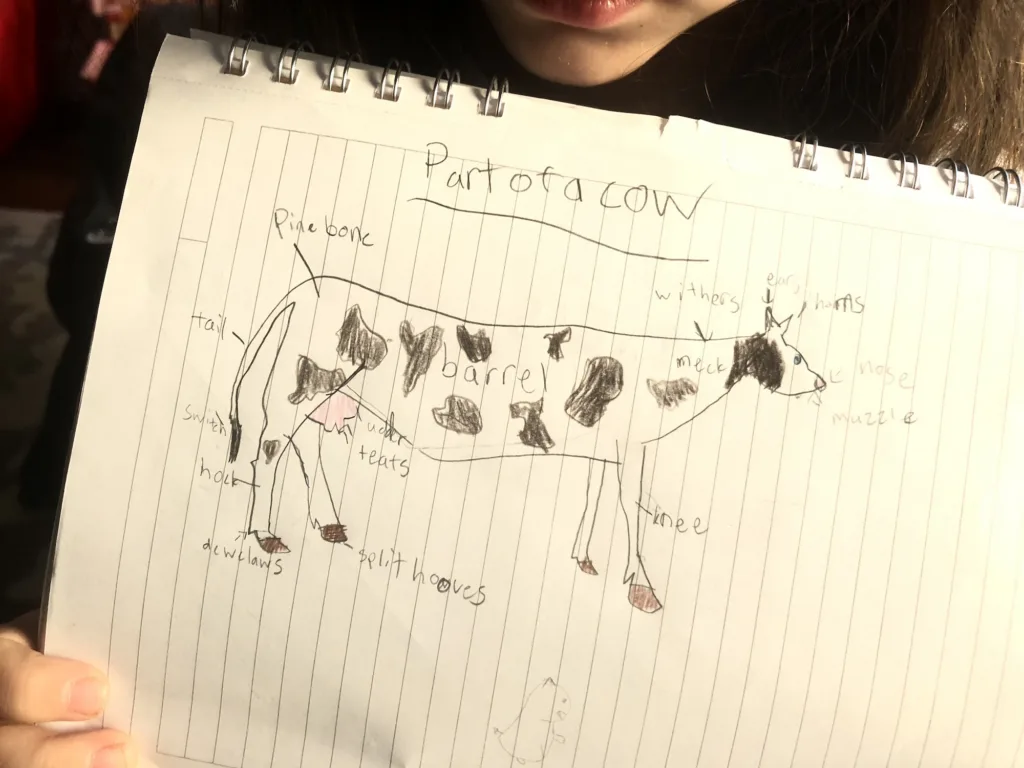 Science Journal for Kids Ideas: Label parts of animals you see along your journeys | Cool Mom Tech Science Journal for Kids Ideas: Label parts of animals you see along your journeys | Cool Mom Tech