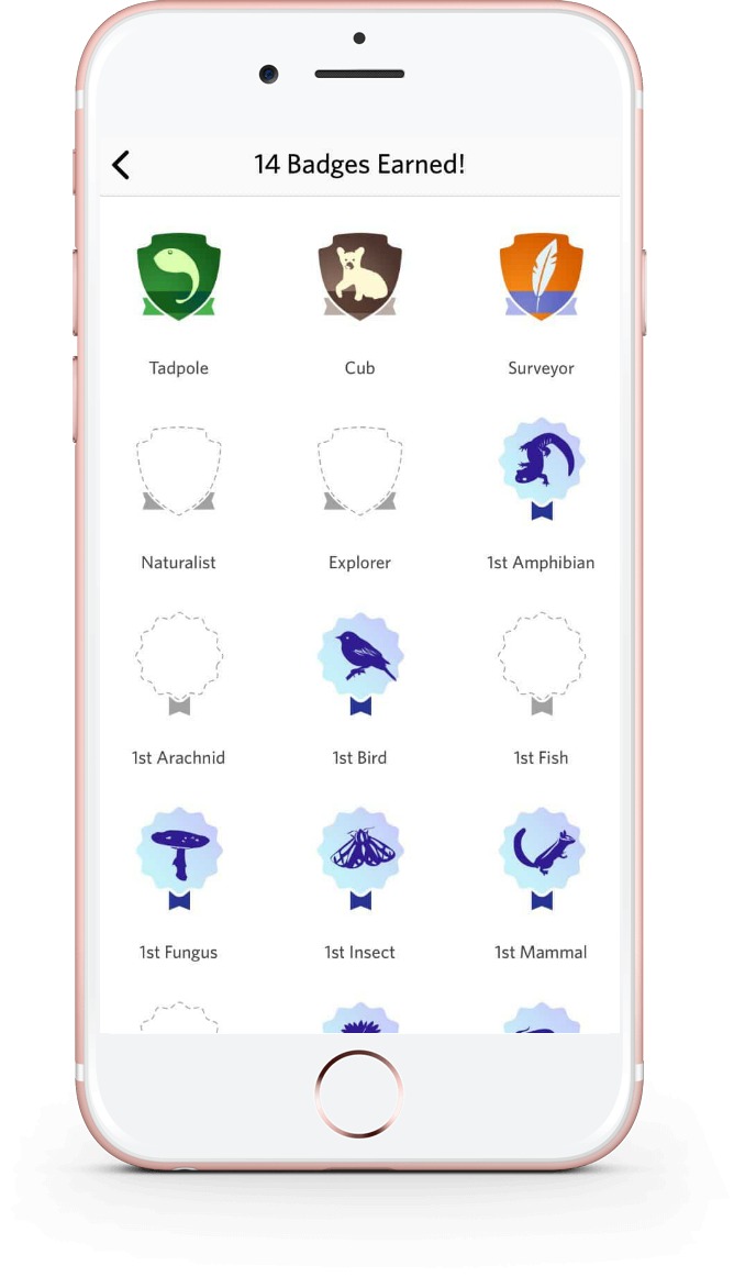 Earn badges as you collect images, with the Seek app from iNaturalist