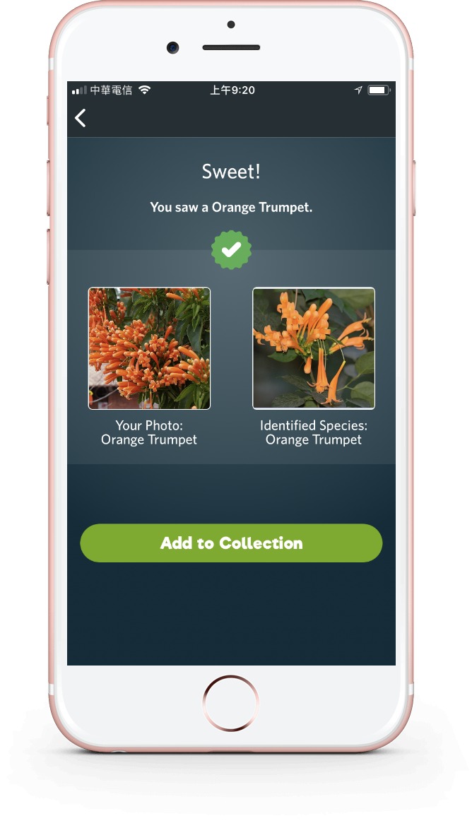 Match species you see with a database of images, with the Seek app from iNaturalist.