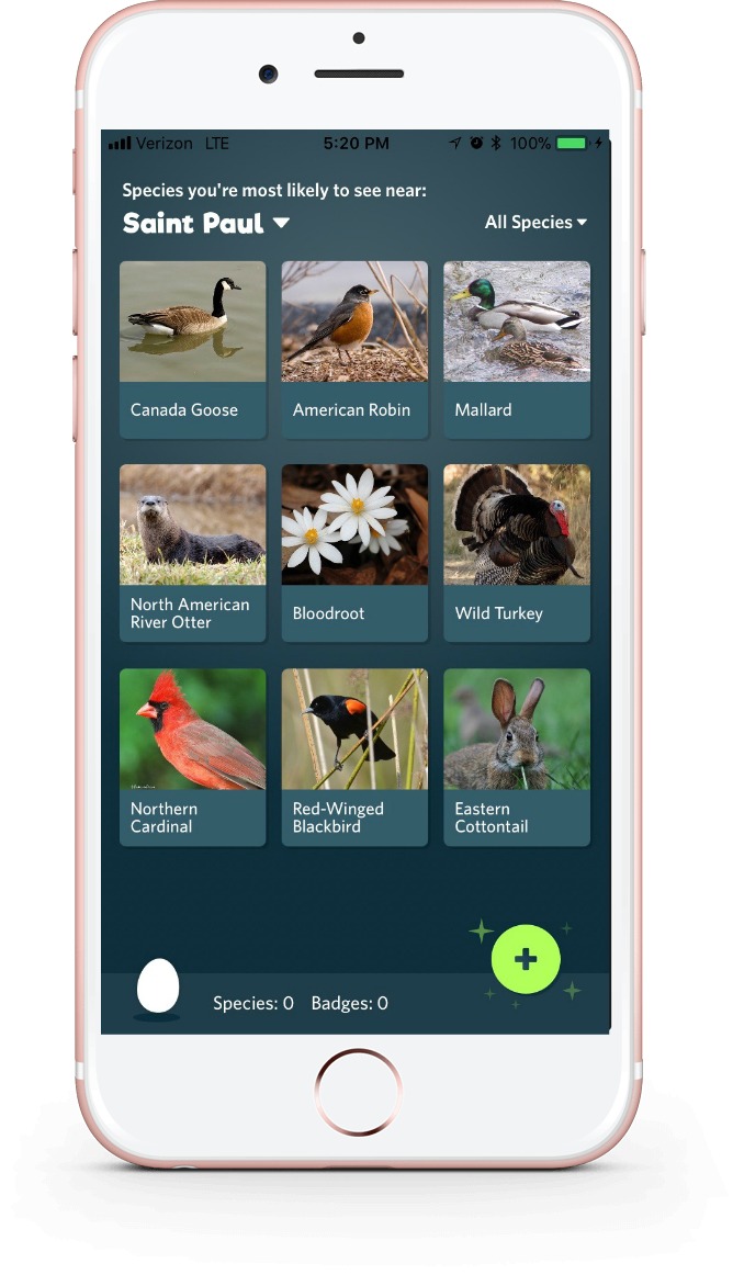 See what species are nearby, with the Seek app from iNaturalist