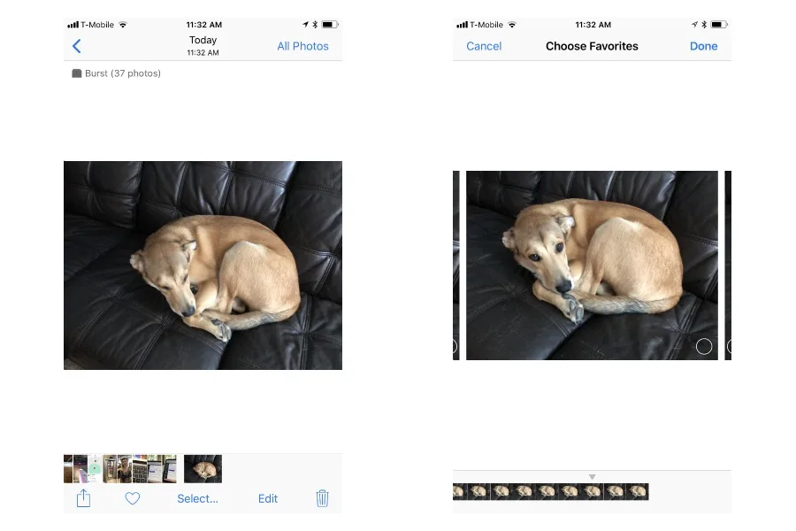 Burst mode is the iPhone camera feature every parent should be using.