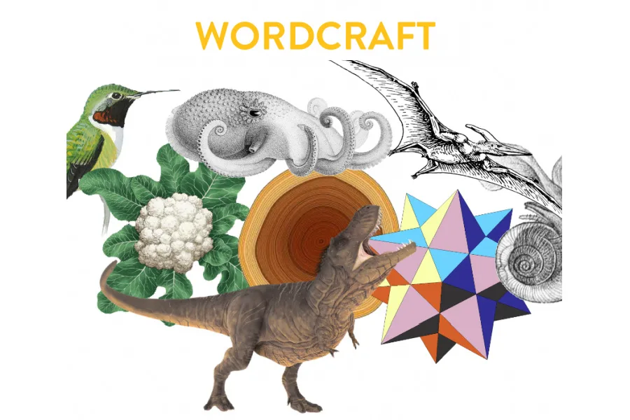 The vocabulary app my kids think is a game. Shhhhhh!