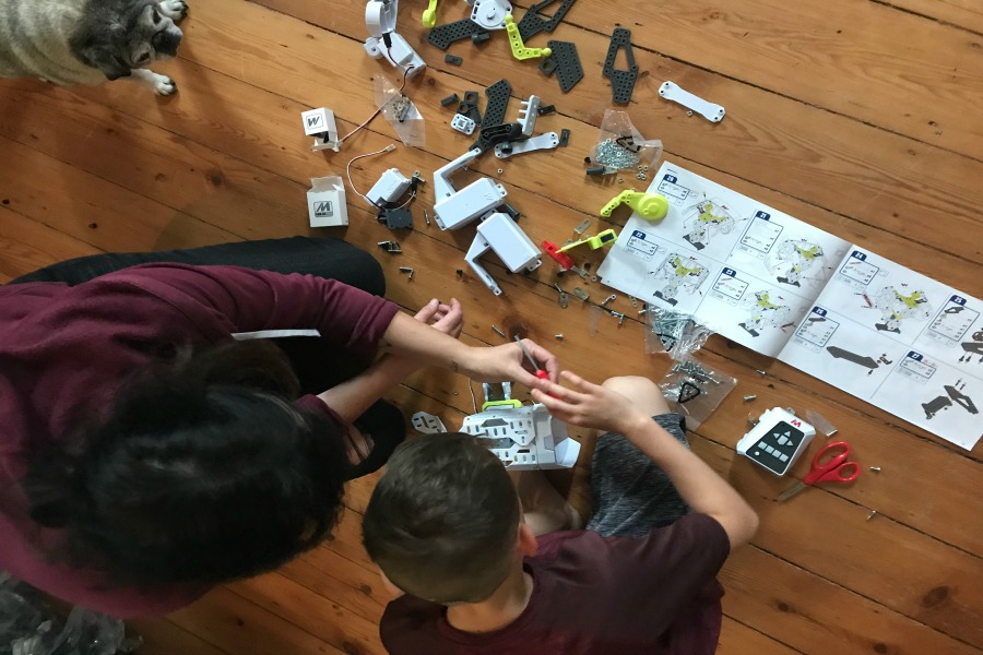 7 fun STEM activities for the whole family. Because we all need STEM, not just the kids.