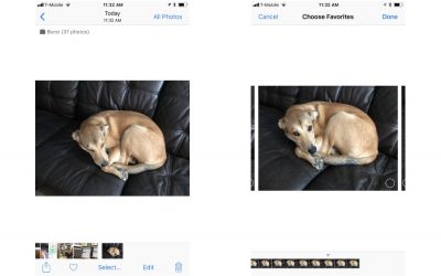 Burst mode is the iPhone camera feature every parent should be using.