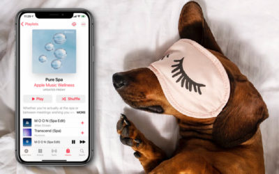 My favorite new iPhone trick to help me fall asleep — and stay asleep