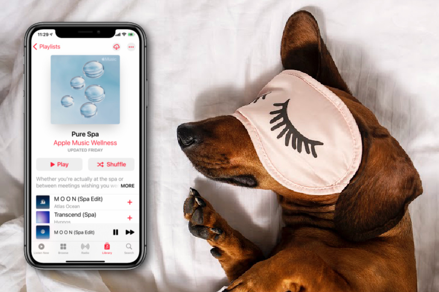 My favorite new iPhone trick to help me fall asleep — and stay asleep