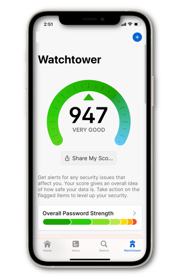 1Password Watchtower functionality alerts you to weak or reused passwords, and data breaches | cool mom tech